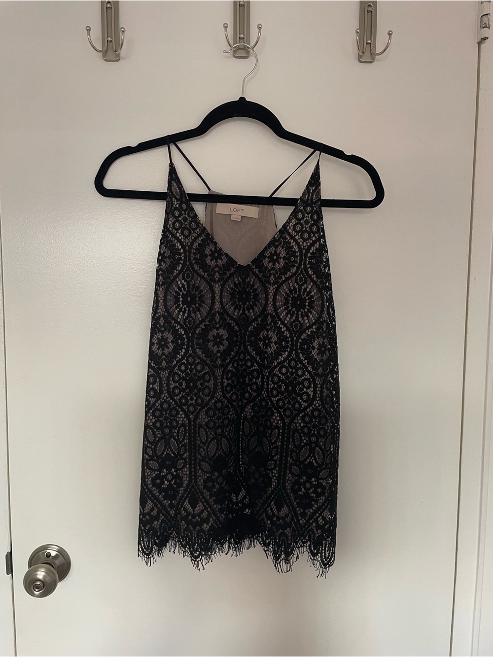 LOFT Black Lace Overlay Camisole with Scalloped Hem